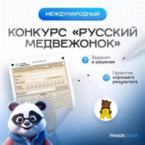 [13.11.2025] Конкурс "Русский медвежонок" 2025-2026 гг. задания и ответы
