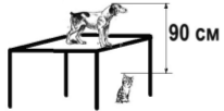 Собака высотой 40 см стоит на столе, а кошка высотой 20 см на полу. Найдите высоту стола.