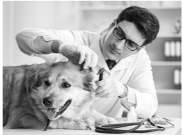 На фотографии изображён представитель одной из профессий, связанных с биологией. Определите эту профессию. Напишите, какую работу выполняют люди этой профессии.