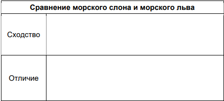 Сравни морского слона и морского льва на основе прочитанных тобой текстов. Запиши в таблицу одно сходство и одно отличие.