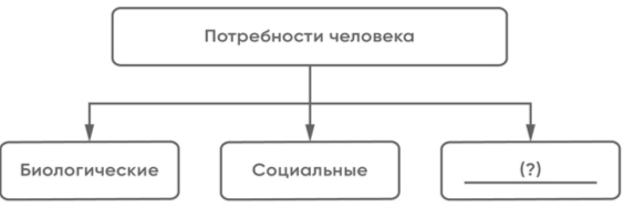 Проанализируйте схему и выполните задания. 1. Заполните пропуск в схеме.