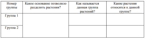 Заполните таблицу: запишите в неё основание, по которому были разделены растения, общее название для каждой группы растений и перечислите растения, которые Вы отнесли к этой группе.