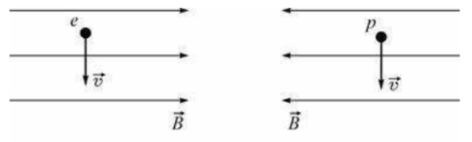В двух экспериментальных установках созданы однородные магнитные поля, векторы магнитной индукции которых равны по модулю и противоположны по направлению. В первую установку влетает электрон, а во вторую протон. Векторы скорости обеих частиц одинаковы по модулю и перпендикулярны вектору индукции магнитного поля (см. рисунок). Выберите все верные утверждения о движении частиц в первой и второй установках. Действием силы тяжести на частицы пренебречь.