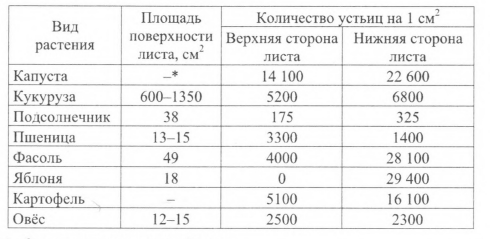 Проанализируйте таблицу «Некоторые характеристики листовых пластинок цветковых растений».