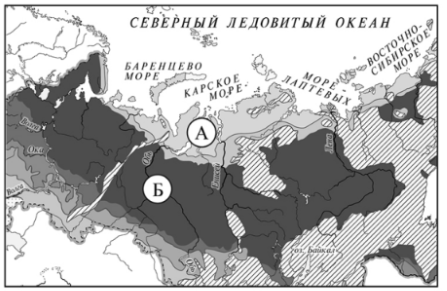 Рассмотри фрагмент карты. На нём буквами А и Б отмечены две природные зоны.